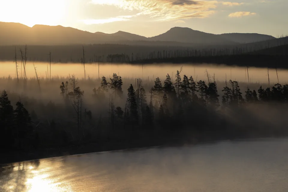Morning Haze at Lake Yellowstone